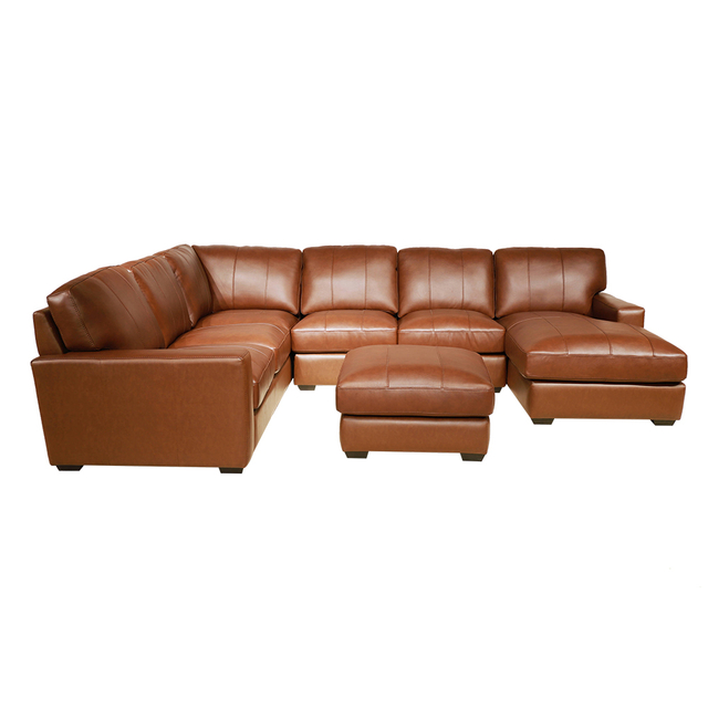 American Style Leisure Sofa-7915