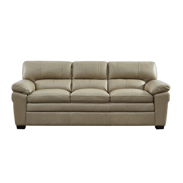 American Style Leisure Sofa-7540