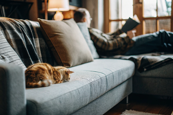 Pros of Fabric Sofas