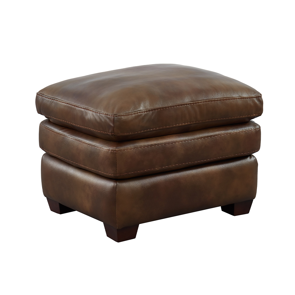 American Style Leisure Sofa-7392