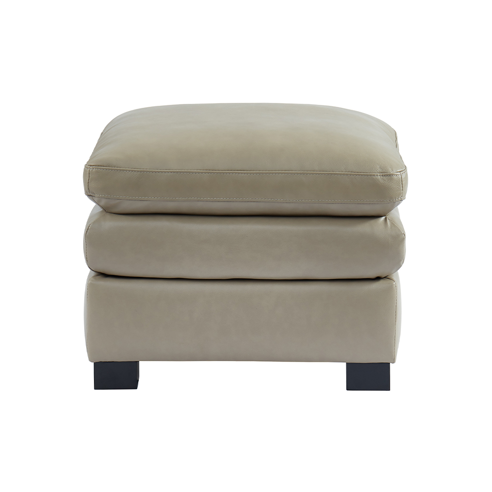 American Style Leisure Sofa-7540