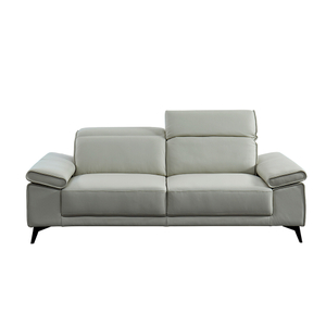 Modern Fixed Sofa-7329