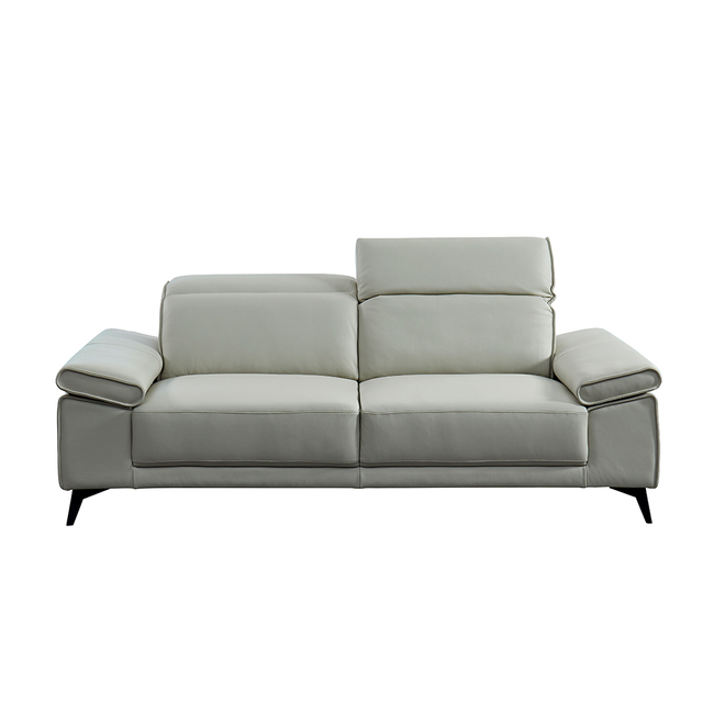 Modern Fixed Sofa-7329