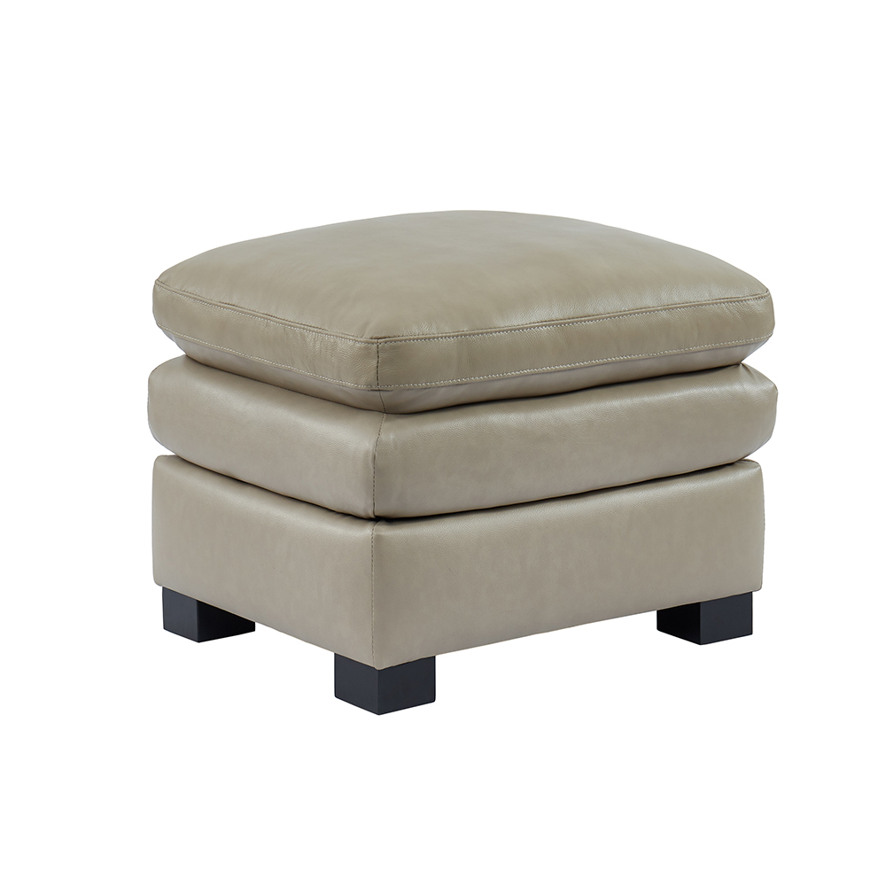American Style Leisure Sofa-7540