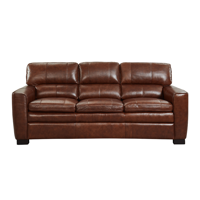  American Style Leisure Sofa-7154