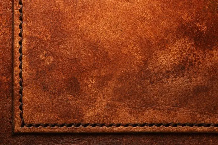 Full-Aniline Leather
