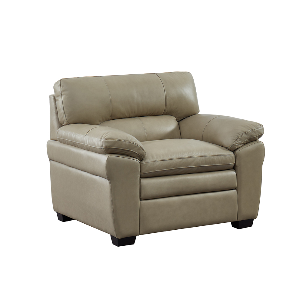 American Style Leisure Sofa-7540