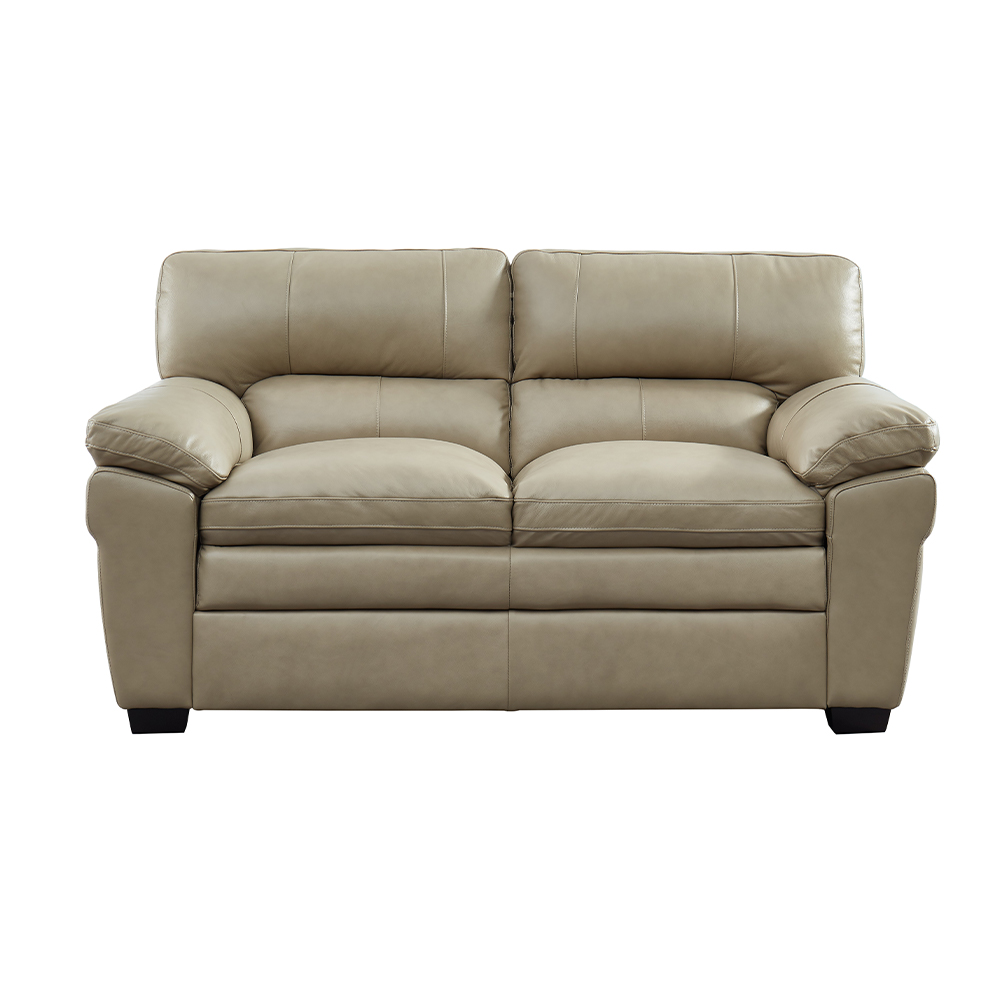American Style Leisure Sofa-7540