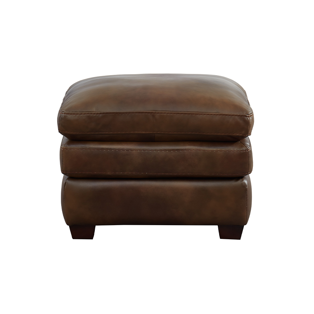 American Style Leisure Sofa-7392